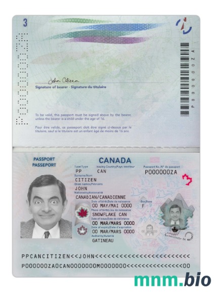 Canada passport 2023-obecny przykład wersji 2 w formacie PSD